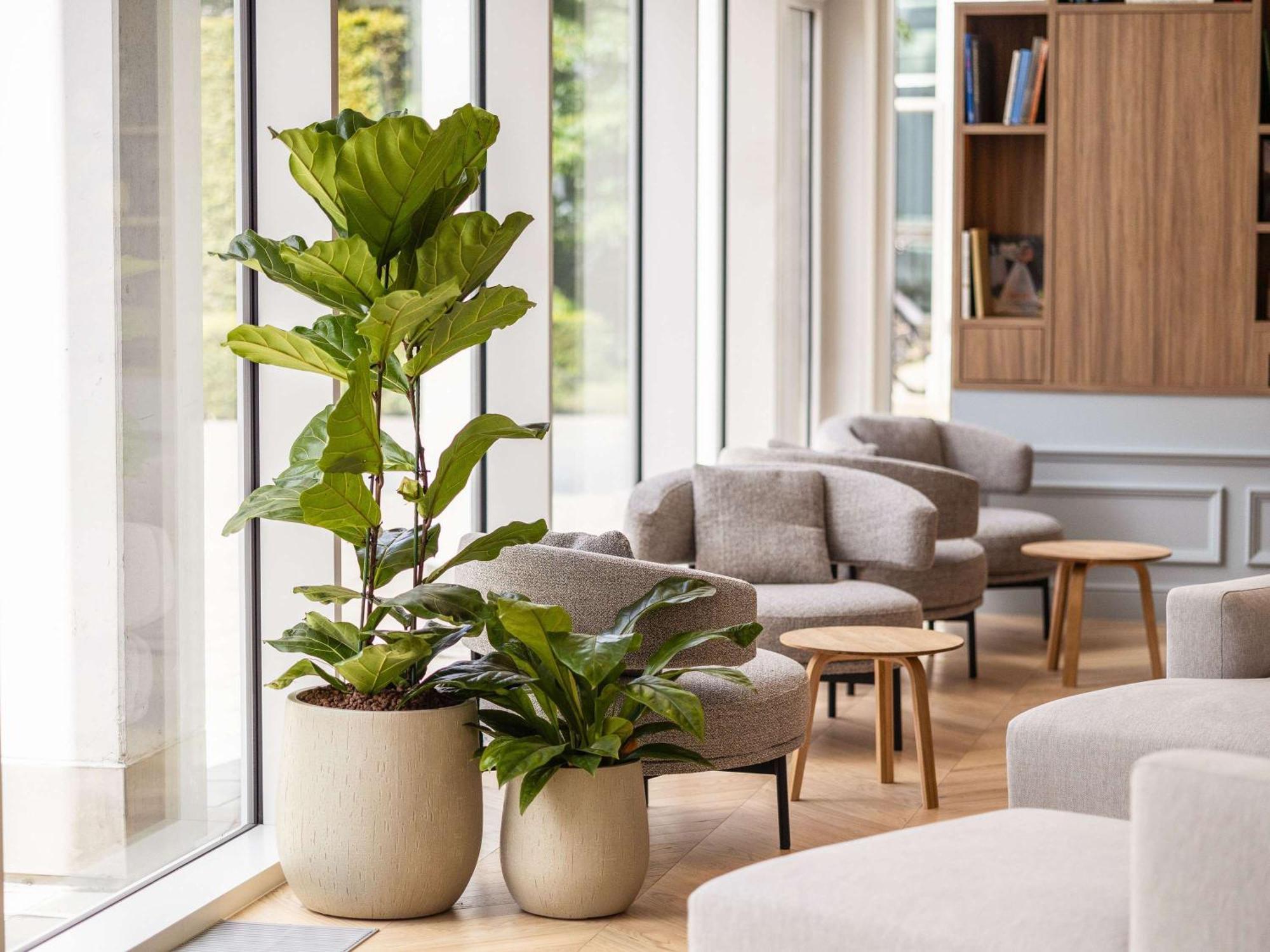 Novotel Brugge Centrum Eksteriør billede